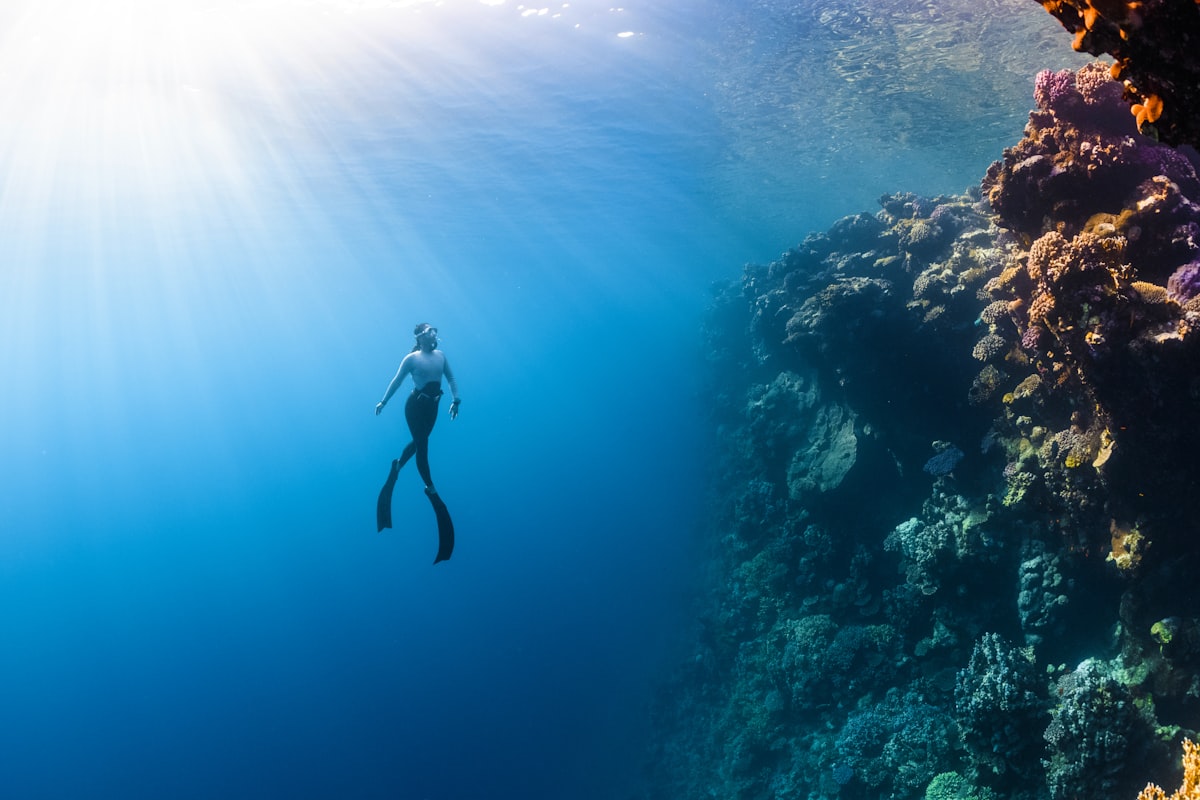 Diver descending the Tulamben Drop Off coral wall, Bali